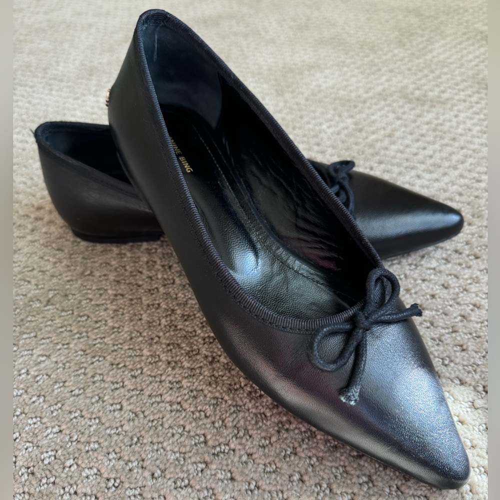 Anine Bing Delphine Flat Size 38 (women’s 8).